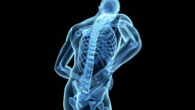 medical animation of a man having a backache